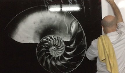 Nautilus Diamantino