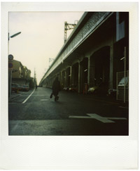 SX70_23