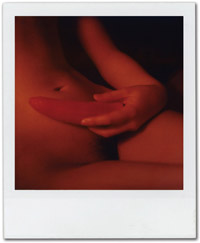 SX70_41