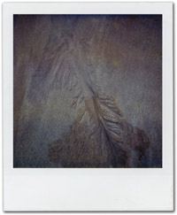 SX70_48