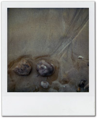 SX70_49