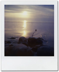 SX70_50