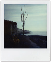 SX70_51