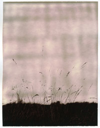 Pola100_24